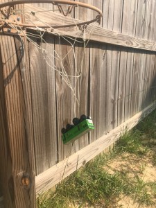 6B0B1970-A054-46B7-A514-29D3FF9F1626